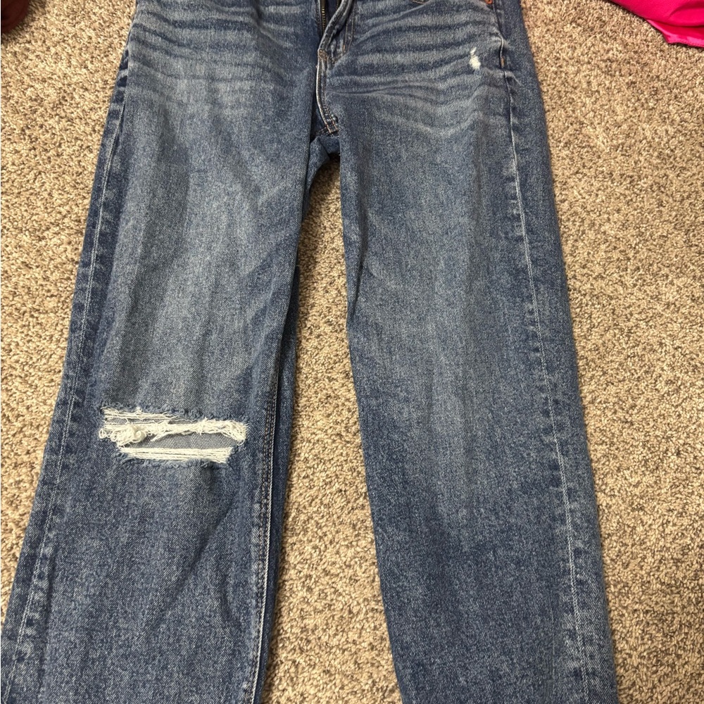 American Eagle Outfitters Relaxed Fit Distressed Blue Jeans